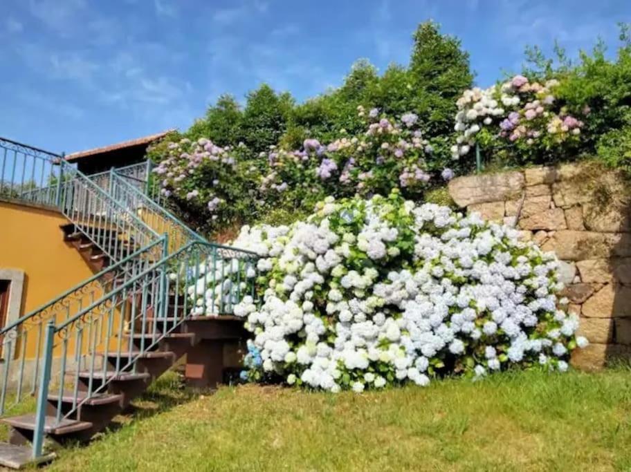 Confort, Fun And Leisure In Douro Rural Space Sande  Exterior photo